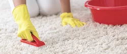 1 Le nettoyeur de tapis doux Soniclean est le meilleur aspirateur pour tapis à poils longs