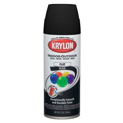 1 Peinture Krylon K05160202 ColorMaster