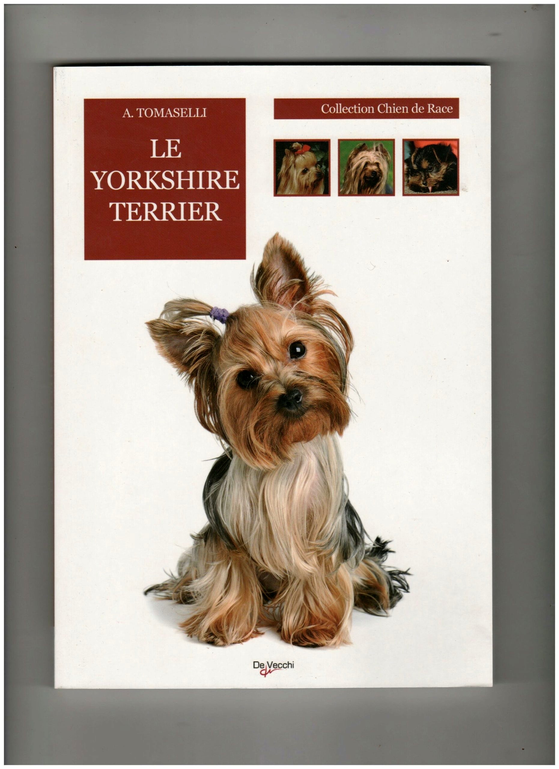 6 Meilleurs Harnais Pour Chiens Pour Les Yorkshire Terriers scaled 1
