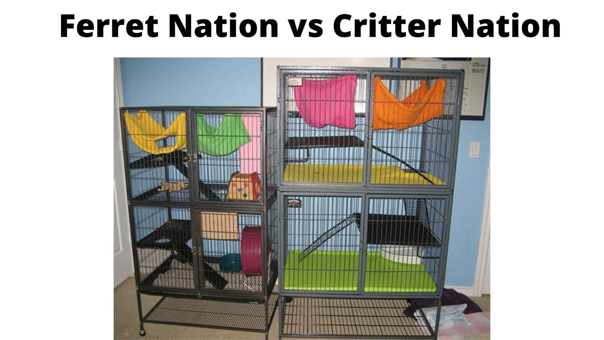 bestferretcages Ferret Nation Vs Critter Nation Lequel Est Le Meilleur Pour Ferret Cage