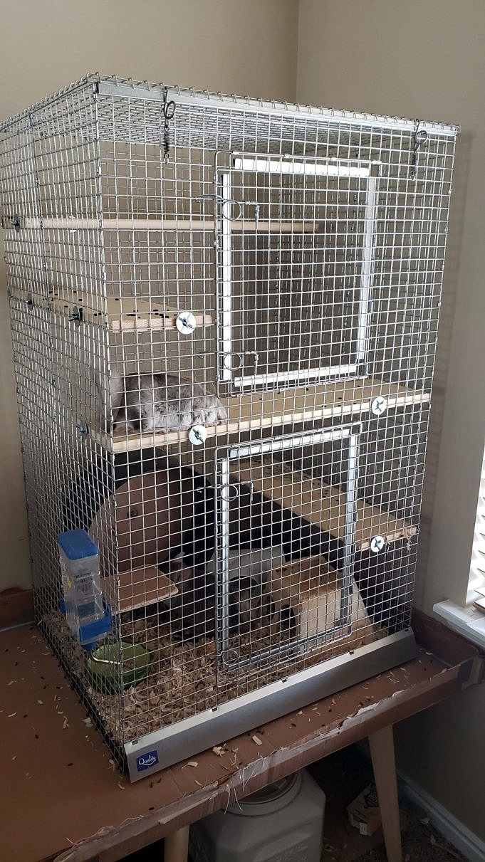 chinchillacaregroup Chinchilla Mansion Par Quality Cage Crafters Review scaled 1