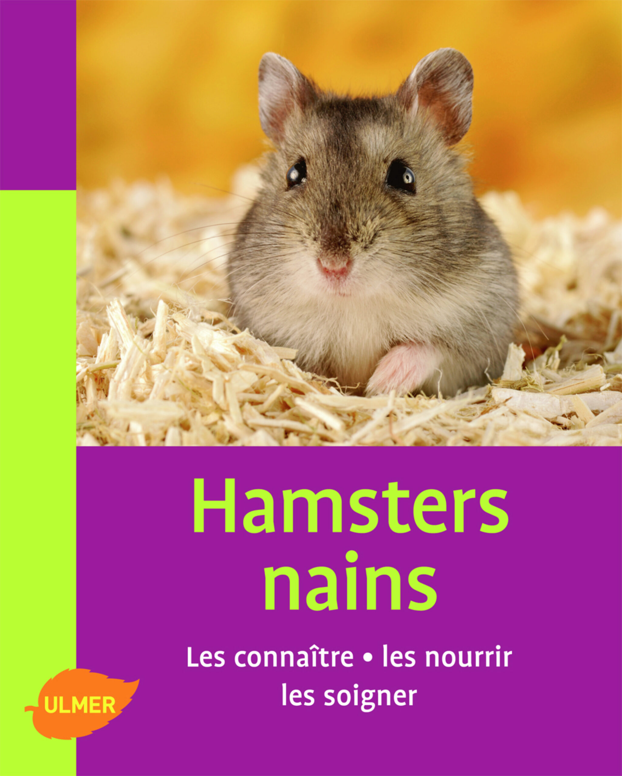 firsthamster 10 Differences Entre Les Hamsters Syriens Et Nains