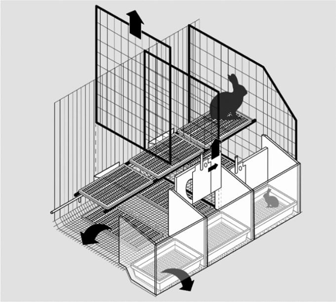 hutchandcage Best Hamster Cage Living World Deluxe Habitat 2021 Review Clapier Et Cage