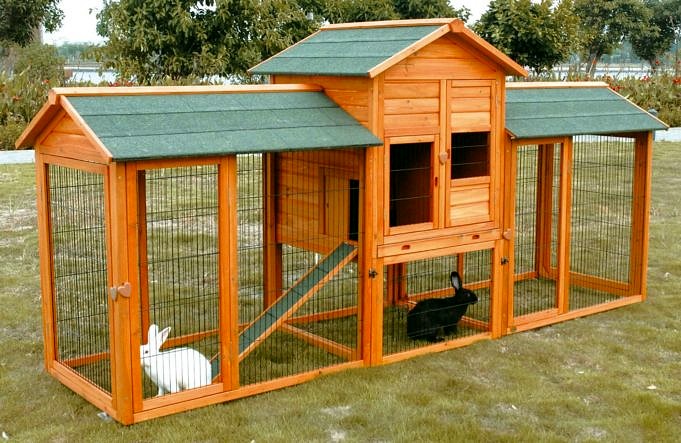 hutchandcage Best Poultry Bedding Guide Complet De Litiere Pour Poulets Clapier Et Cage