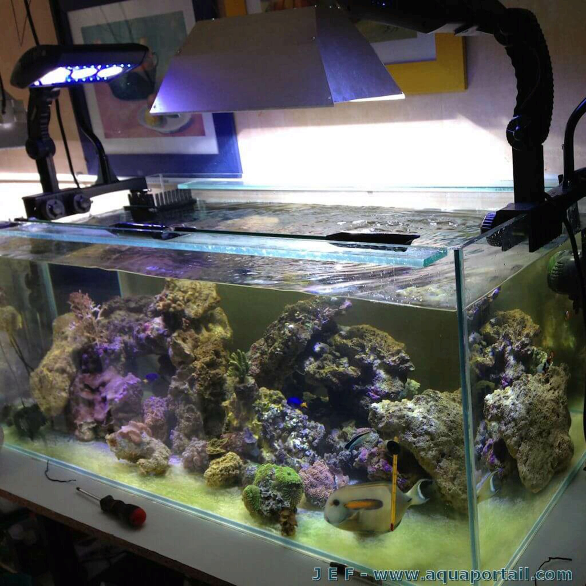 tankarium Aquarium Light VS Grow Light