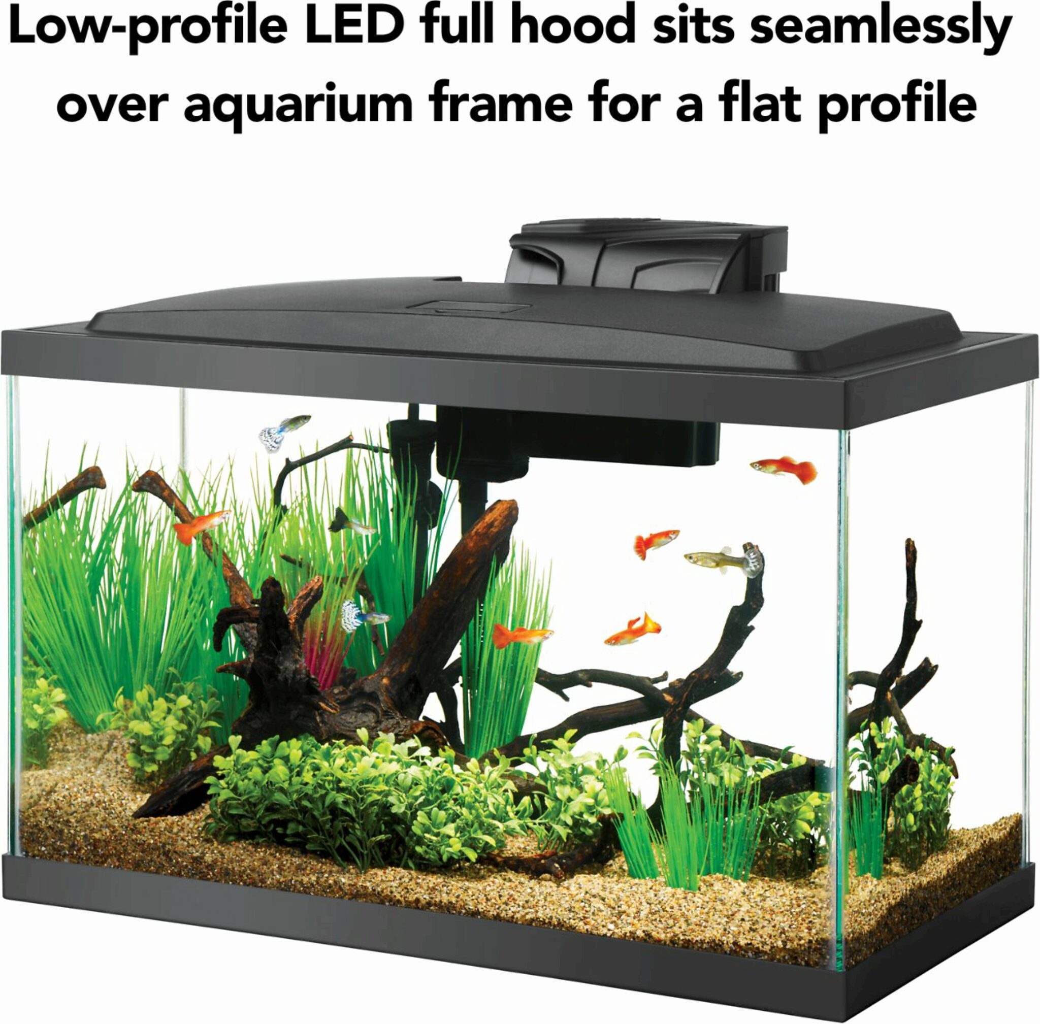 tankarium Meilleur Aquarium De 45 Litres Pour Votre Maison